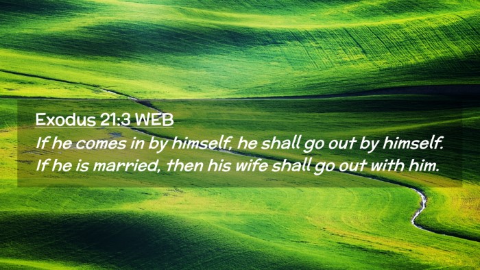 Picture 02 - Exodus 21:3 WEB Desktop Wallpaper - If he comes in by himself, he shall go out by - Desktop Bible Verse Wallpaper