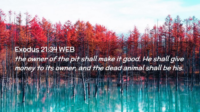 Picture 02 - Exodus 21:34 WEB Desktop Wallpaper - the owner of the pit shall make it good. He shall - Desktop Bible Verse Wallpaper