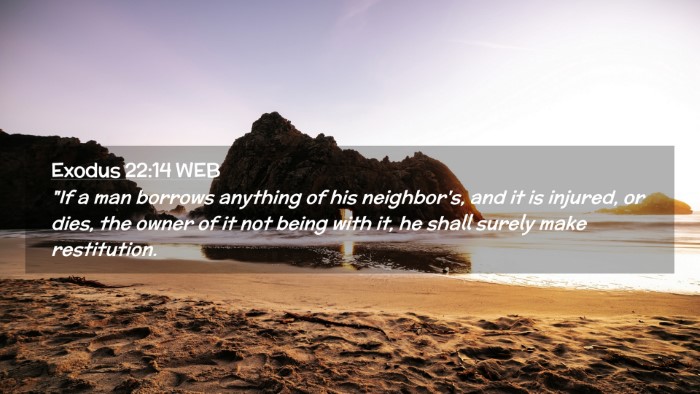Picture 02 - Exodus 22:14 WEB Desktop Wallpaper - 