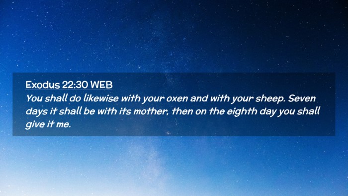 Picture 02 - Exodus 22:30 WEB Desktop Wallpaper - You shall do likewise with your oxen and with - Desktop Bible Verse Wallpaper