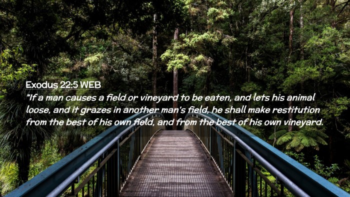 Picture 02 - Exodus 22:5 WEB Desktop Wallpaper - 