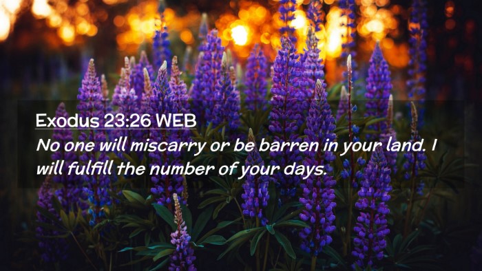 Picture 02 - Exodus 23:26 WEB Desktop Wallpaper - No one will miscarry or be barren in your land. I - Desktop Bible Verse Wallpaper