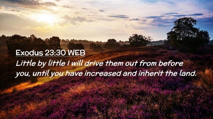 Picture 02 - Exodus 23:30 WEB Desktop Wallpaper - Little by little I will drive them out from - Desktop Bible Verse Wallpaper