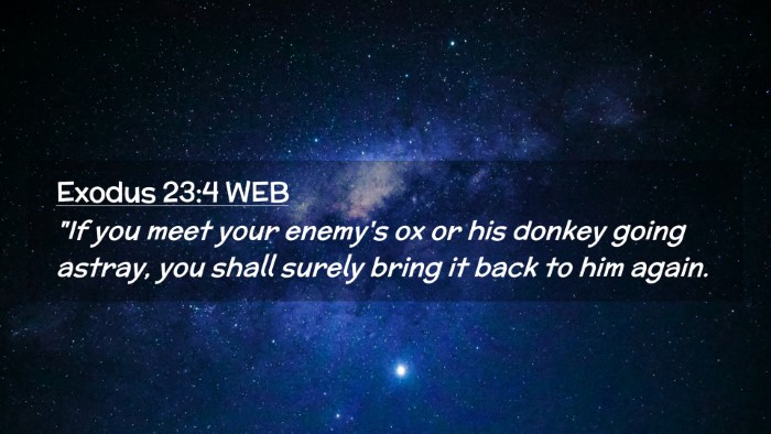 Picture 02 - Exodus 23:4 WEB Desktop Wallpaper - 