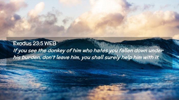 Picture 02 - Exodus 23:5 WEB Desktop Wallpaper - If you see the donkey of him who hates you fallen - Desktop Bible Verse Wallpaper