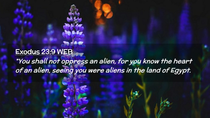Picture 02 - Exodus 23:9 WEB Desktop Wallpaper - 