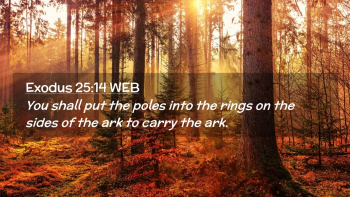 Picture 02 - Exodus 25:14 WEB Desktop Wallpaper - You shall put the poles into the rings on the - Desktop Bible Verse Wallpaper