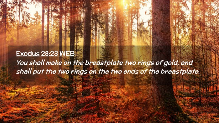 Picture 02 - Exodus 28:23 WEB Desktop Wallpaper - You shall make on the breastplate two rings of - Desktop Bible Verse Wallpaper