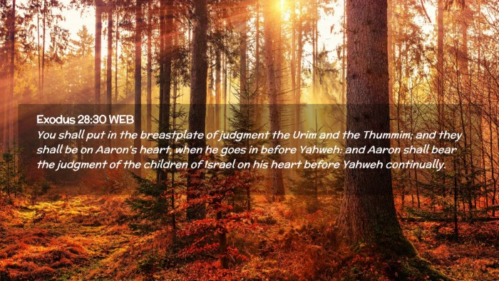 Picture 02 - Exodus 28:30 WEB Desktop Wallpaper - You shall put in the breastplate of judgment the - Desktop Bible Verse Wallpaper