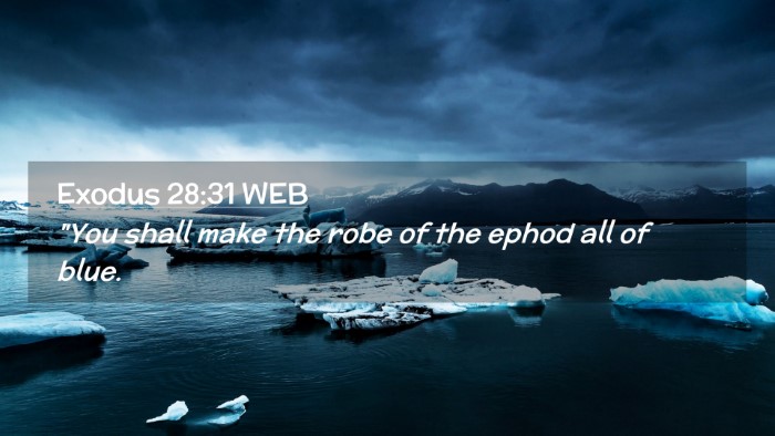 Picture 02 - Exodus 28:31 WEB Desktop Wallpaper - 