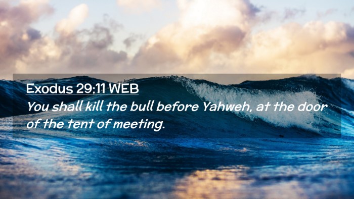 Picture 02 - Exodus 29:11 WEB Desktop Wallpaper - You shall kill the bull before Yahweh, at the - Desktop Bible Verse Wallpaper
