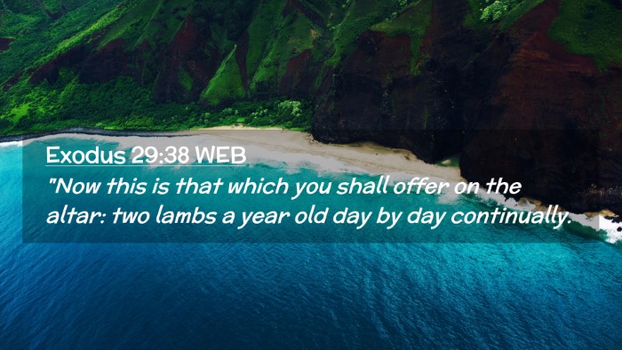 Picture 02 - Exodus 29:38 WEB Desktop Wallpaper - 