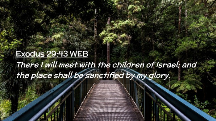 Picture 02 - Exodus 29:43 WEB Desktop Wallpaper - There I will meet with the children of Israel; - Desktop Bible Verse Wallpaper