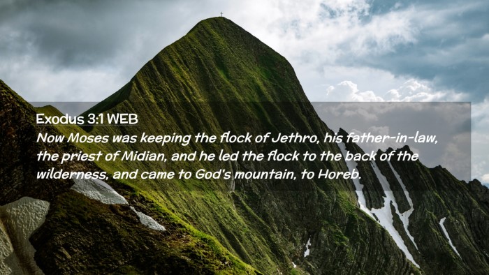 Picture 02 - Exodus 3:1 WEB Desktop Wallpaper - Now Moses was keeping the flock of Jethro, his - Desktop Bible Verse Wallpaper