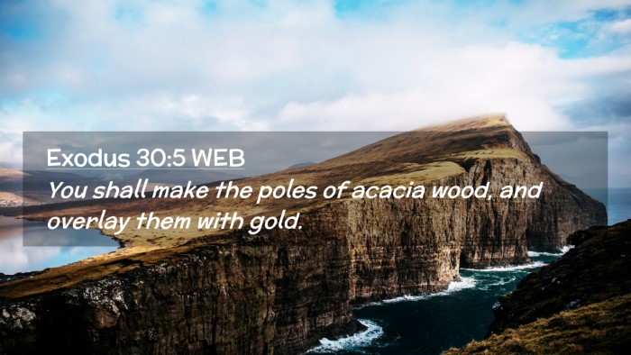 Picture 02 - Exodus 30:5 WEB Desktop Wallpaper - You shall make the poles of acacia wood, and - Desktop Bible Verse Wallpaper
