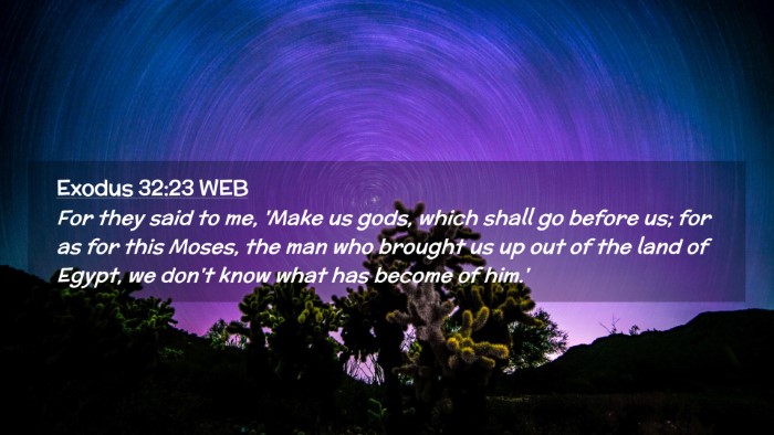 Picture 02 - Exodus 32:23 WEB Desktop Wallpaper - For they said to me, 'Make us gods, which shall - Desktop Bible Verse Wallpaper