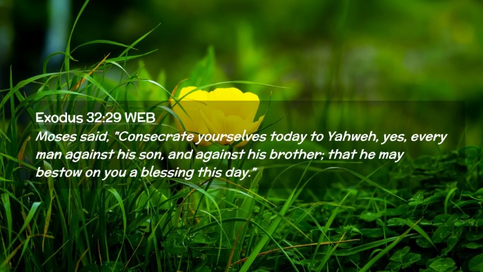 Picture 02 - Exodus 32:29 WEB Desktop Wallpaper - Moses said, 