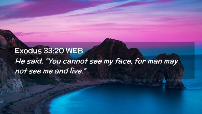 Picture 02 - Exodus 33:20 WEB Desktop Wallpaper - He said, 