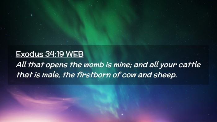 Picture 02 - Exodus 34:19 WEB Desktop Wallpaper - All that opens the womb is mine; and all your - Desktop Bible Verse Wallpaper