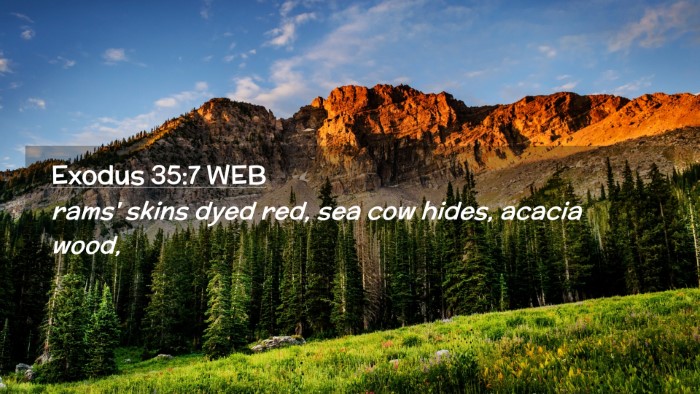 Picture 02 - Exodus 35:7 WEB Desktop Wallpaper - rams' skins dyed red, sea cow hides, acacia - Desktop Bible Verse Wallpaper