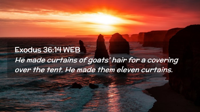 Picture 02 - Exodus 36:14 WEB Desktop Wallpaper - He made curtains of goats' hair for a covering - Desktop Bible Verse Wallpaper