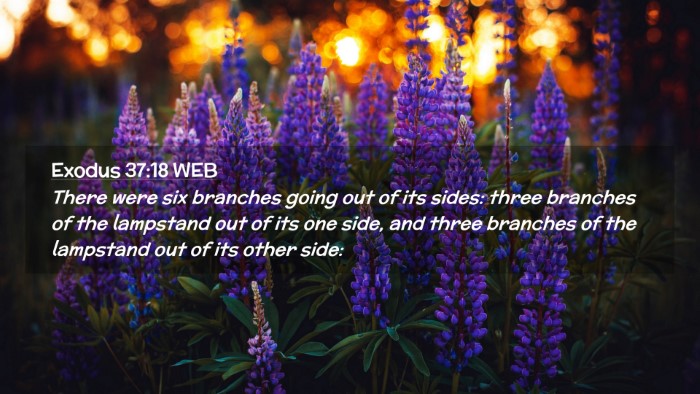 Picture 02 - Exodus 37:18 WEB Desktop Wallpaper - There were six branches going out of its sides: - Desktop Bible Verse Wallpaper