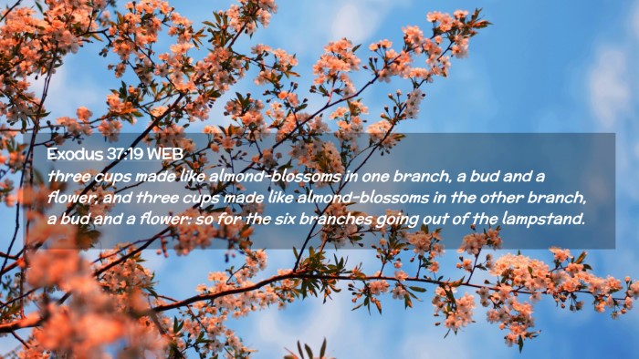Picture 02 - Exodus 37:19 WEB Desktop Wallpaper - three cups made like almond-blossoms in one - Desktop Bible Verse Wallpaper