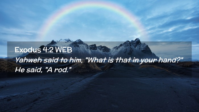 Picture 02 - Exodus 4:2 WEB Desktop Wallpaper - Yahweh said to him, 