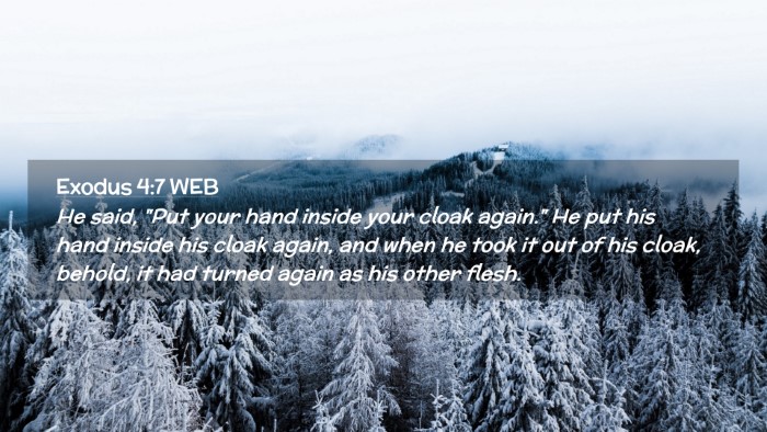 Picture 02 - Exodus 4:7 WEB Desktop Wallpaper - He said, 