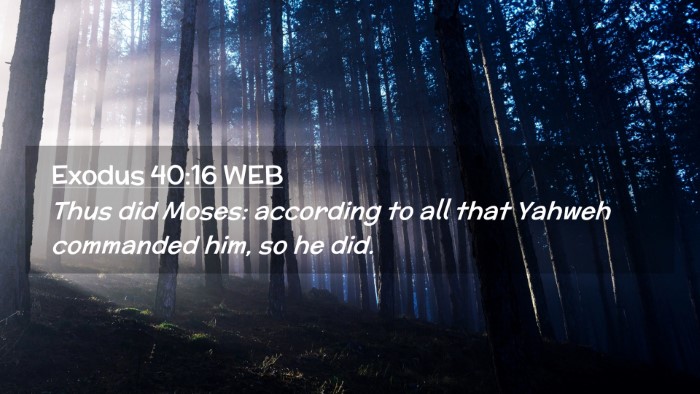 Picture 02 - Exodus 40:16 WEB Desktop Wallpaper - Thus did Moses: according to all that Yahweh - Desktop Bible Verse Wallpaper