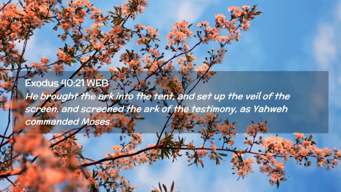 Picture 02 - Exodus 40:21 WEB Desktop Wallpaper - He brought the ark into the tent, and set up the - Desktop Bible Verse Wallpaper