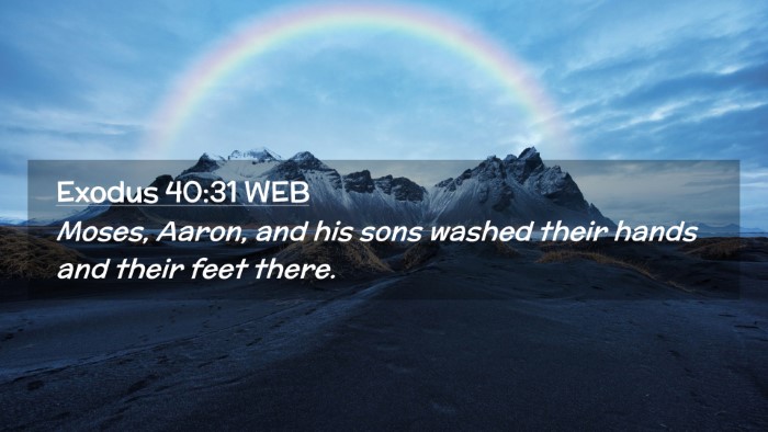 Picture 02 - Exodus 40:31 WEB Desktop Wallpaper - Moses, Aaron, and his sons washed their hands and - Desktop Bible Verse Wallpaper