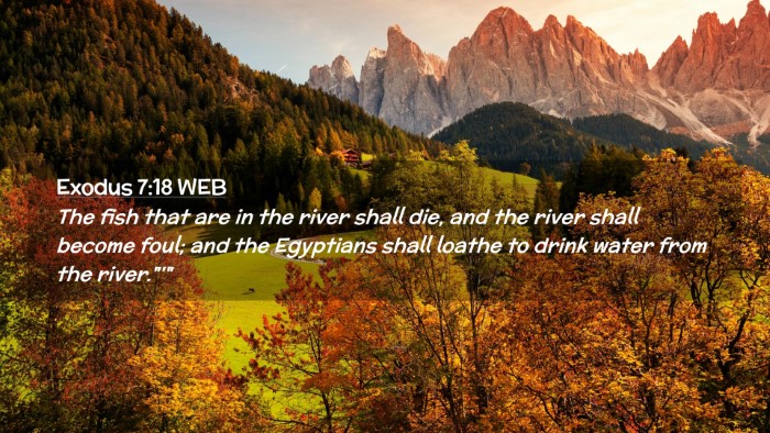 Picture 02 - Exodus 7:18 WEB Desktop Wallpaper - The fish that are in the river shall die, and the - Desktop Bible Verse Wallpaper
