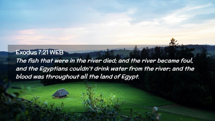 Picture 02 - Exodus 7:21 WEB Desktop Wallpaper - The fish that were in the river died; and the - Desktop Bible Verse Wallpaper