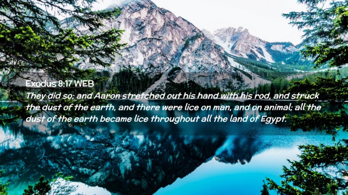 Picture 02 - Exodus 8:17 WEB Desktop Wallpaper - They did so; and Aaron stretched out his hand - Desktop Bible Verse Wallpaper