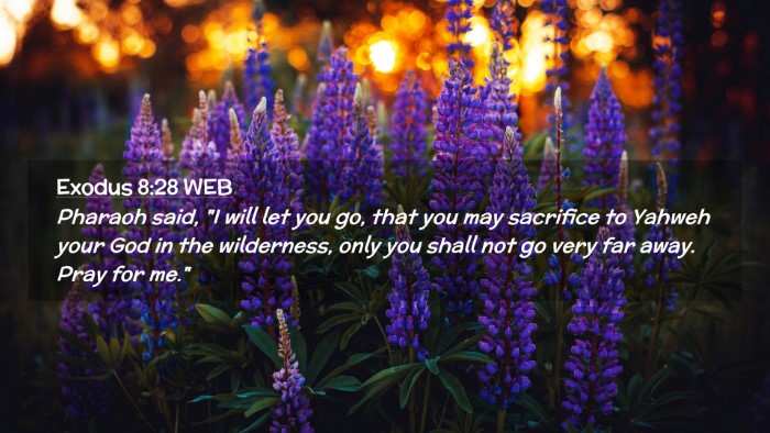 Picture 02 - Exodus 8:28 WEB Desktop Wallpaper - Pharaoh said, 