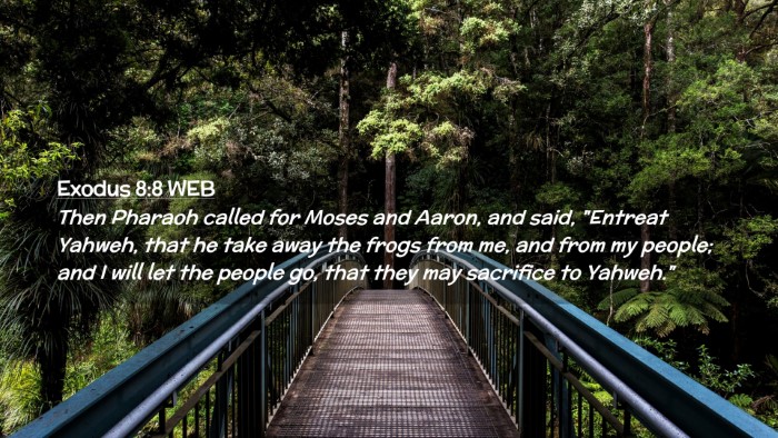 Picture 02 - Exodus 8:8 WEB Desktop Wallpaper - Then Pharaoh called for Moses and Aaron, and - Desktop Bible Verse Wallpaper