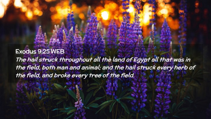 Picture 02 - Exodus 9:25 WEB Desktop Wallpaper - The hail struck throughout all the land of Egypt - Desktop Bible Verse Wallpaper