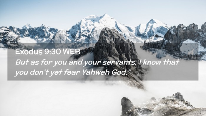 Picture 02 - Exodus 9:30 WEB Desktop Wallpaper - But as for you and your servants, I know that you - Desktop Bible Verse Wallpaper