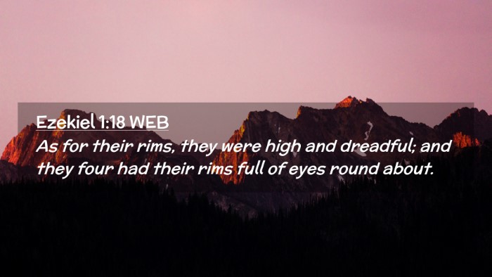 Picture 02 - Ezekiel 1:18 WEB Desktop Wallpaper - As for their rims, they were high and dreadful; - Desktop Bible Verse Wallpaper