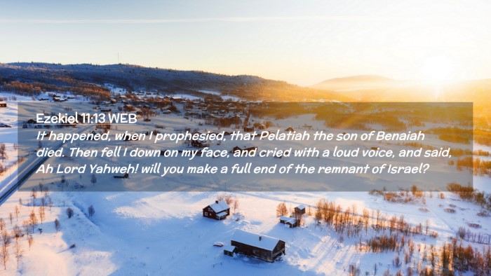 Picture 02 - Ezekiel 11:13 WEB Desktop Wallpaper - It happened, when I prophesied, that Pelatiah the - Desktop Bible Verse Wallpaper