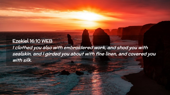 Picture 02 - Ezekiel 16:10 WEB Desktop Wallpaper - I clothed you also with embroidered work, and - Desktop Bible Verse Wallpaper