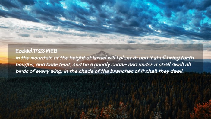Picture 02 - Ezekiel 17:23 WEB Desktop Wallpaper - in the mountain of the height of Israel will I - Desktop Bible Verse Wallpaper