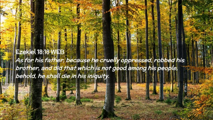 Picture 02 - Ezekiel 18:18 WEB Desktop Wallpaper - As for his father, because he cruelly oppressed, - Desktop Bible Verse Wallpaper