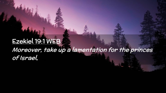 Picture 02 - Ezekiel 19:1 WEB Desktop Wallpaper - Moreover, take up a lamentation for the princes - Desktop Bible Verse Wallpaper
