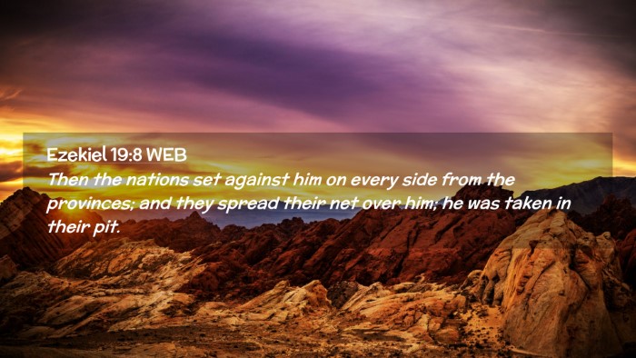 Picture 02 - Ezekiel 19:8 WEB Desktop Wallpaper - Then the nations set against him on every side - Desktop Bible Verse Wallpaper