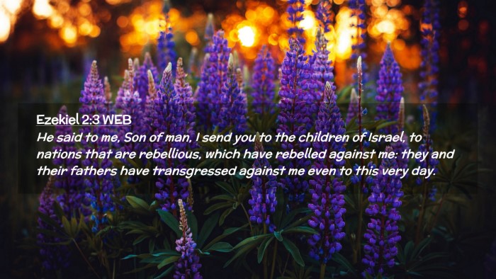 Picture 02 - Ezekiel 2:3 WEB Desktop Wallpaper - He said to me, Son of man, I send you to the - Desktop Bible Verse Wallpaper