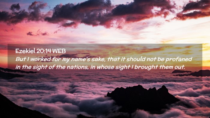 Picture 02 - Ezekiel 20:14 WEB Desktop Wallpaper - But I worked for my name's sake, that it should - Desktop Bible Verse Wallpaper