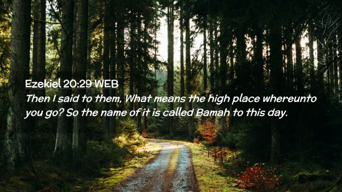 Picture 02 - Ezekiel 20:29 WEB Desktop Wallpaper - Then I said to them, What means the high place - Desktop Bible Verse Wallpaper