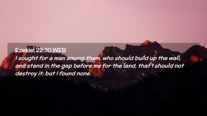 Picture 02 - Ezekiel 22:30 WEB Desktop Wallpaper - I sought for a man among them, who should build - Desktop Bible Verse Wallpaper